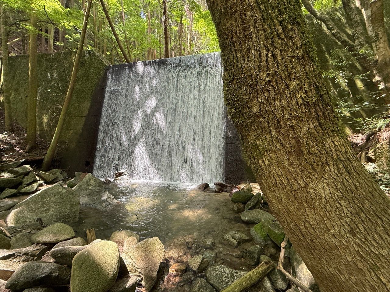 緑の木々と岩に囲まれた滝を近くから眺めた景色