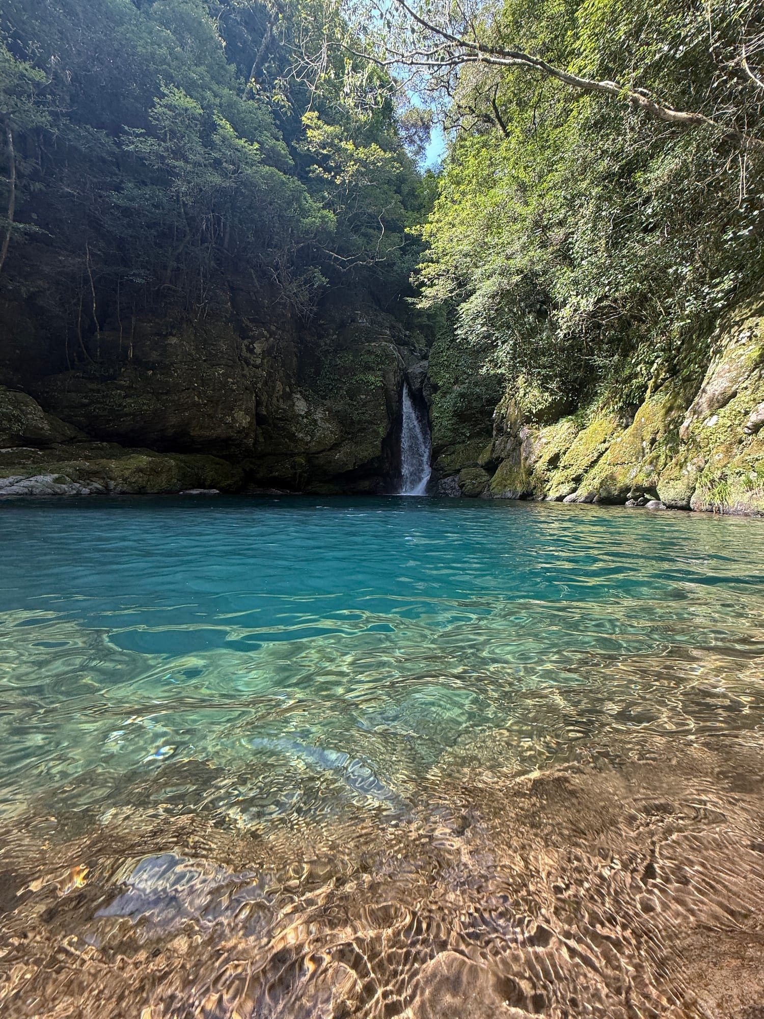 木々に囲まれた滝と、底まで見えるほど透明な青いにこ淵の水